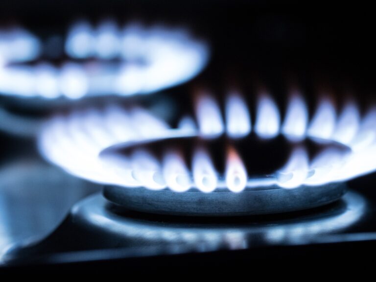 LPG Services Gas stove burner