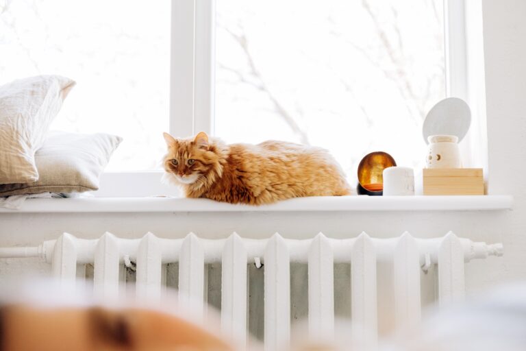 LPG Services Ginger cat relaxing on window sill above radiator in cozy home